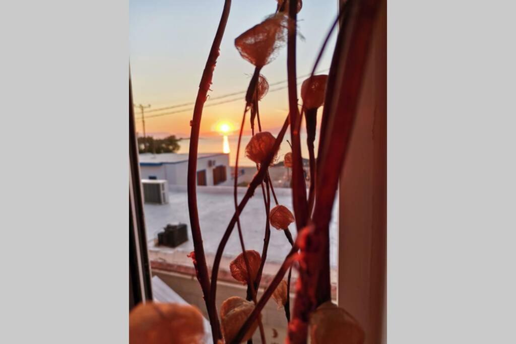 Mar Azul Σπίτι Δίπλα Στην Παραλία Και Στο Κέντρο! Apartamento Elafonissos Exterior foto